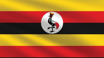 Will President Yoweri Museveni announce a Ugandan Cabinet reshuffle by June 18, 2026?